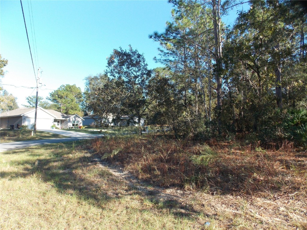 9432 N Cherry Lake Drive Citrus Springs FL 34433 OM689611 image4