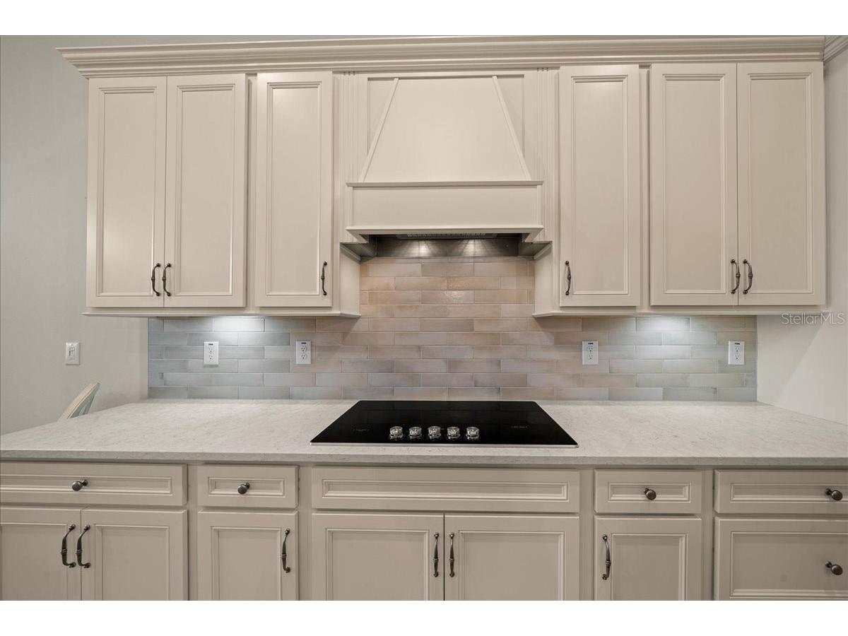 9432 SW 56th Loop Ocala FL 34481 OM713953 image13