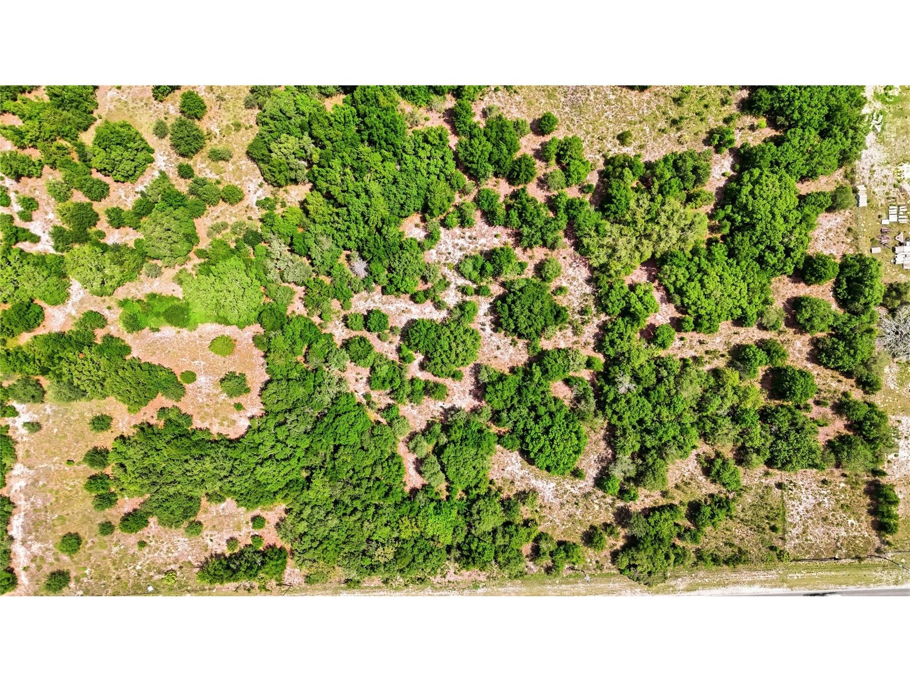 9433 County Line Road Spring Hill FL 34608 TB8512282 image10