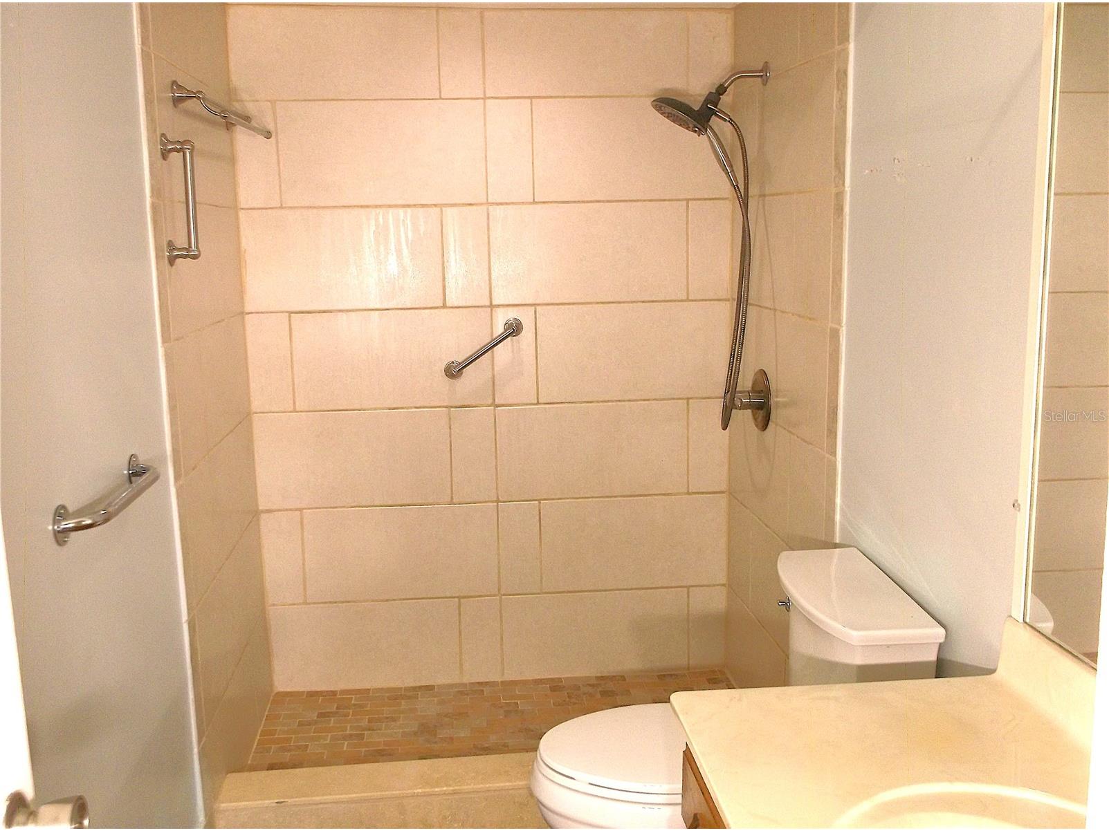 9433 Harbor Greens Way #305 Seminole FL 33776 TB8488944 image36