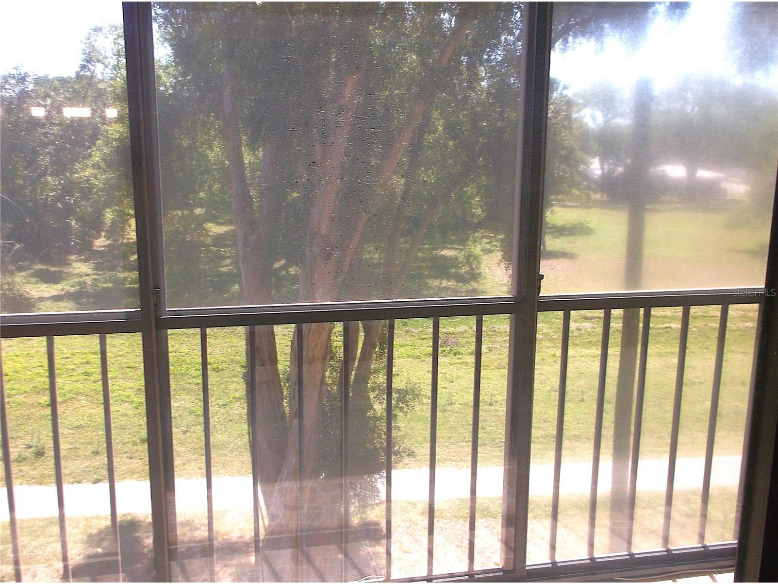9433 Harbor Greens Way #305 Seminole FL 33776 TB8488944 image39