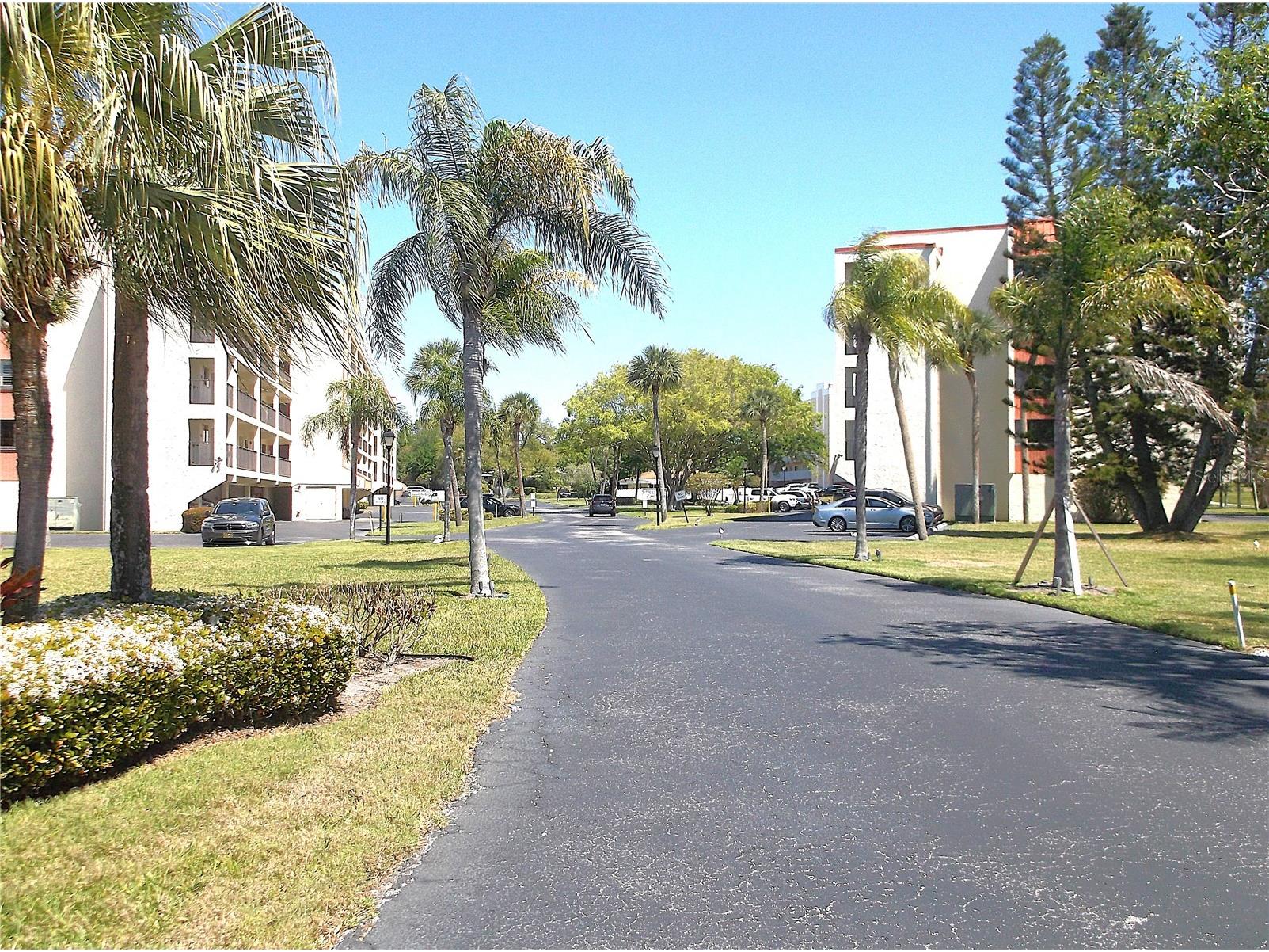 9433 Harbor Greens Way #305 Seminole FL 33776 TB8488944 image47