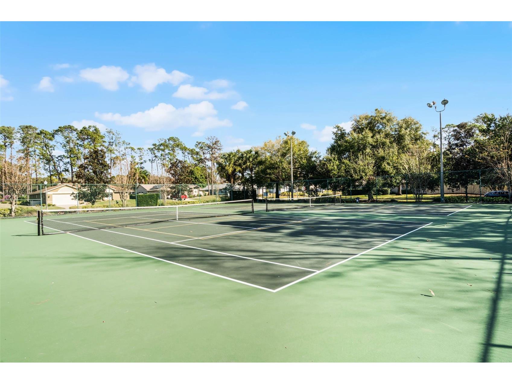 9433 Palm Tree Drive Windermere FL 34786 O6423262 image33