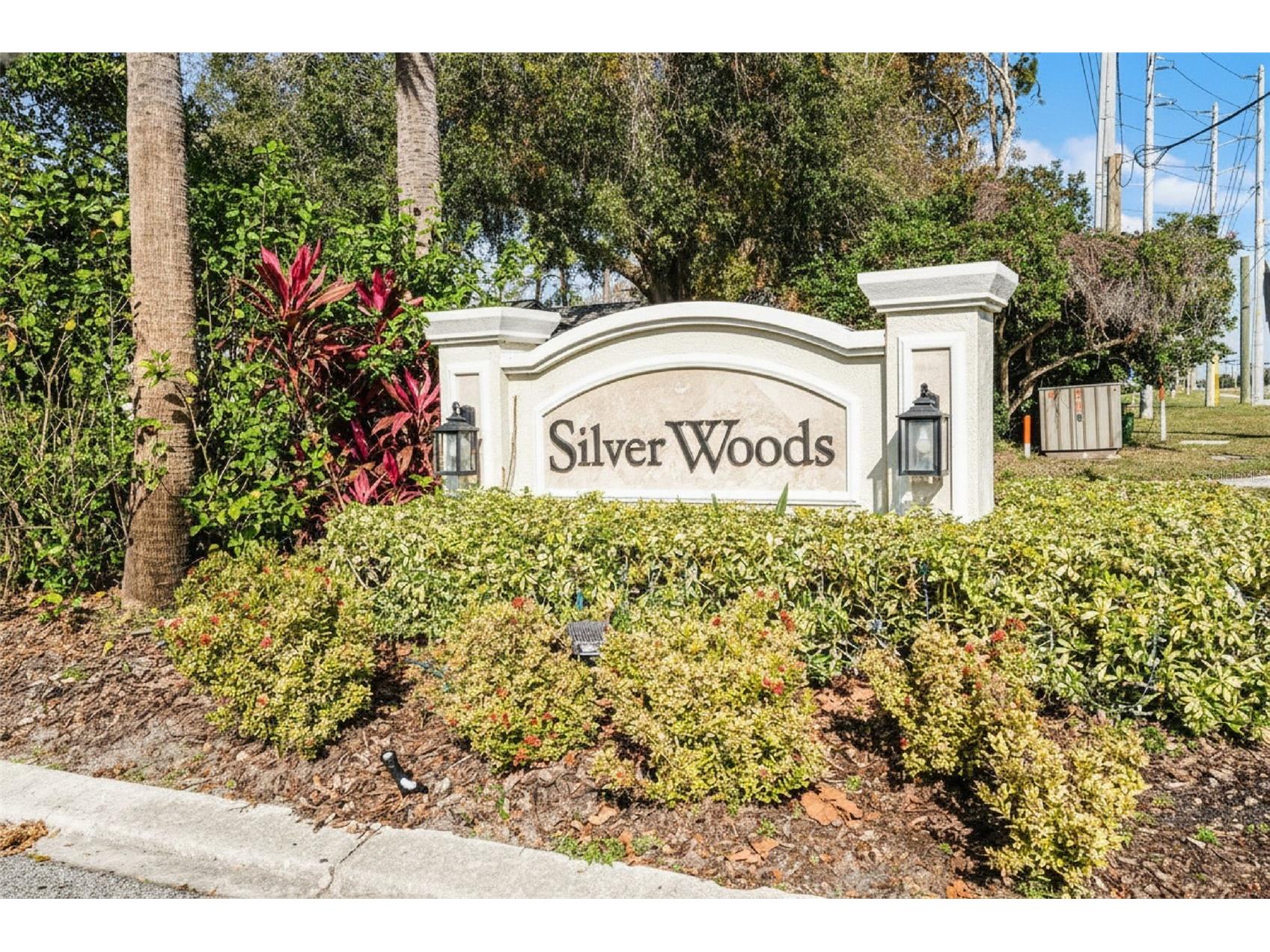 9433 Palm Tree Drive Windermere FL 34786 O6423262 image34