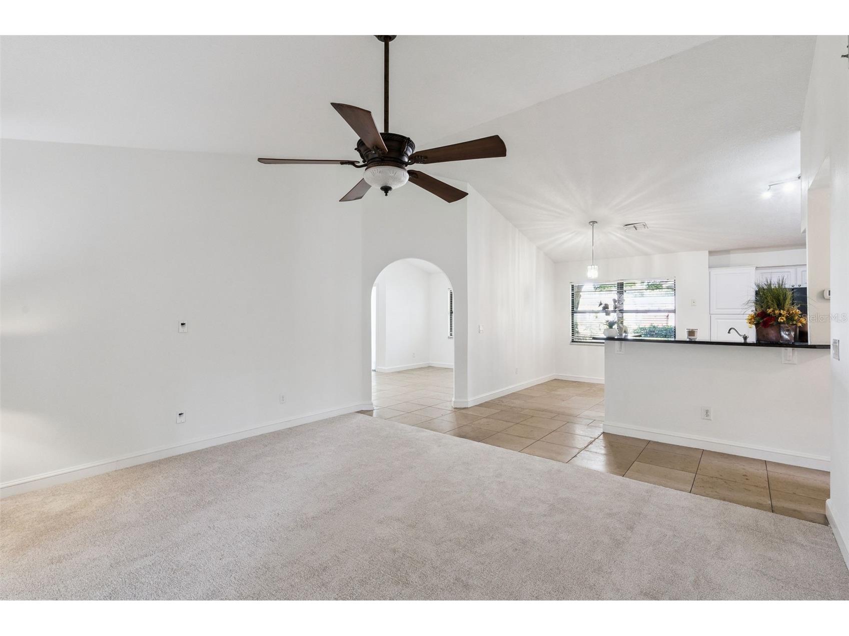 9433 Palm Tree Drive Windermere FL 34786 O6423262 image8