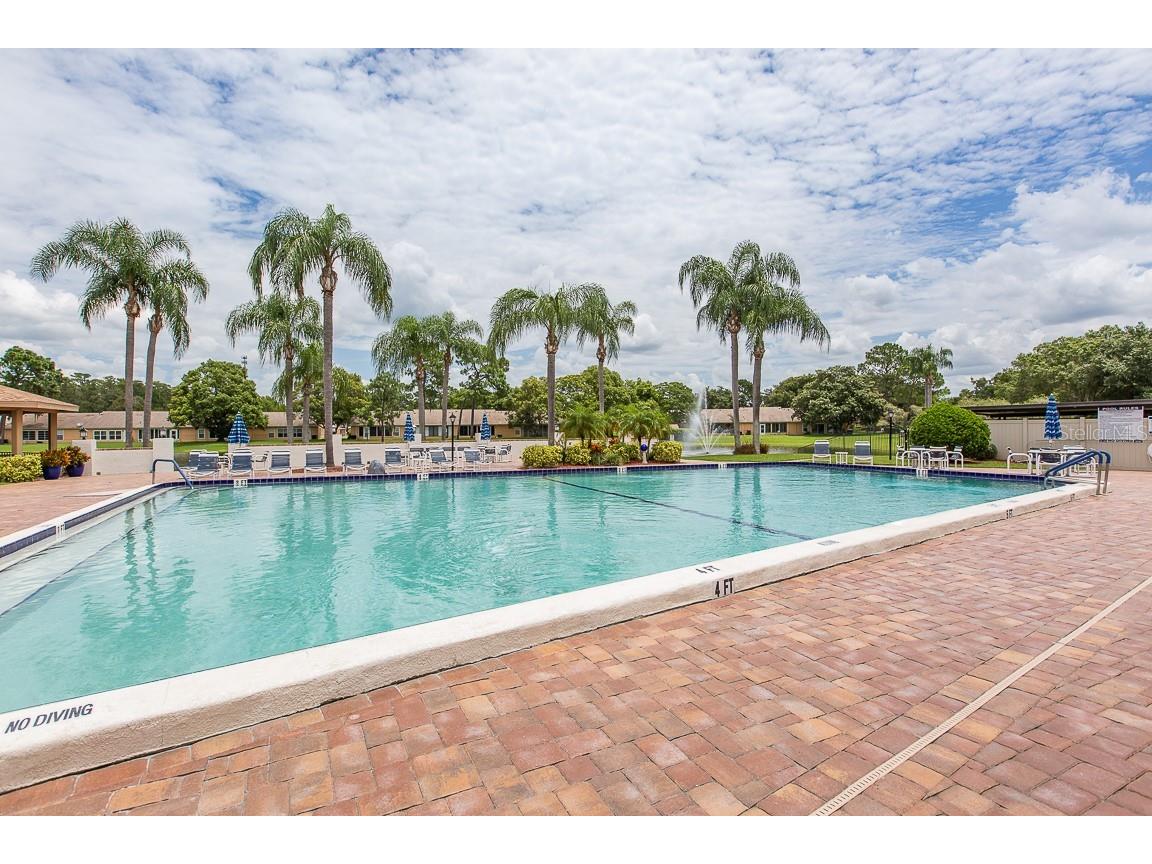 9433 Stonewall Lane New Port Richey FL 34655 W7876640 image45