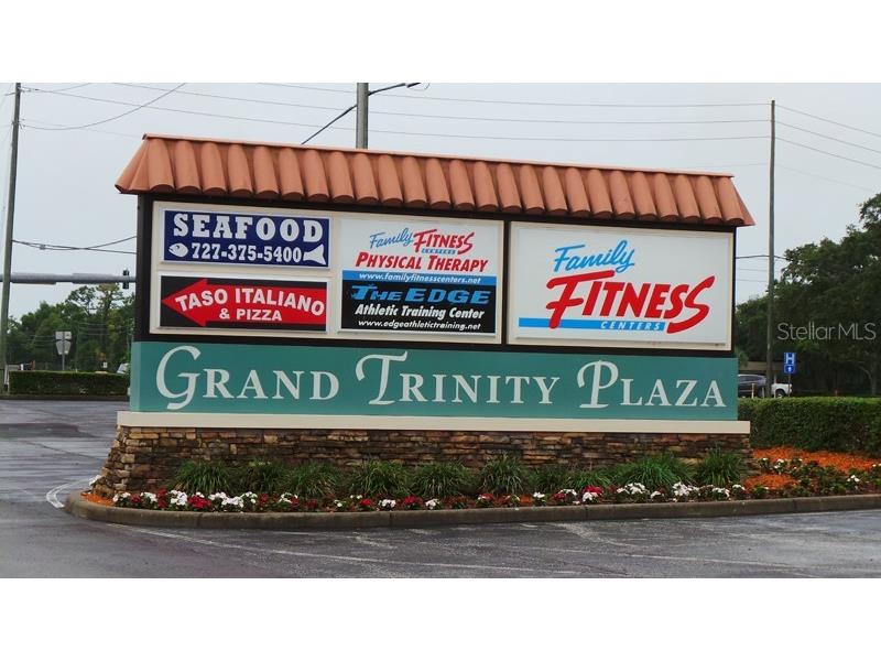 9433 Stonewall Lane New Port Richey FL 34655 W7876640 image50