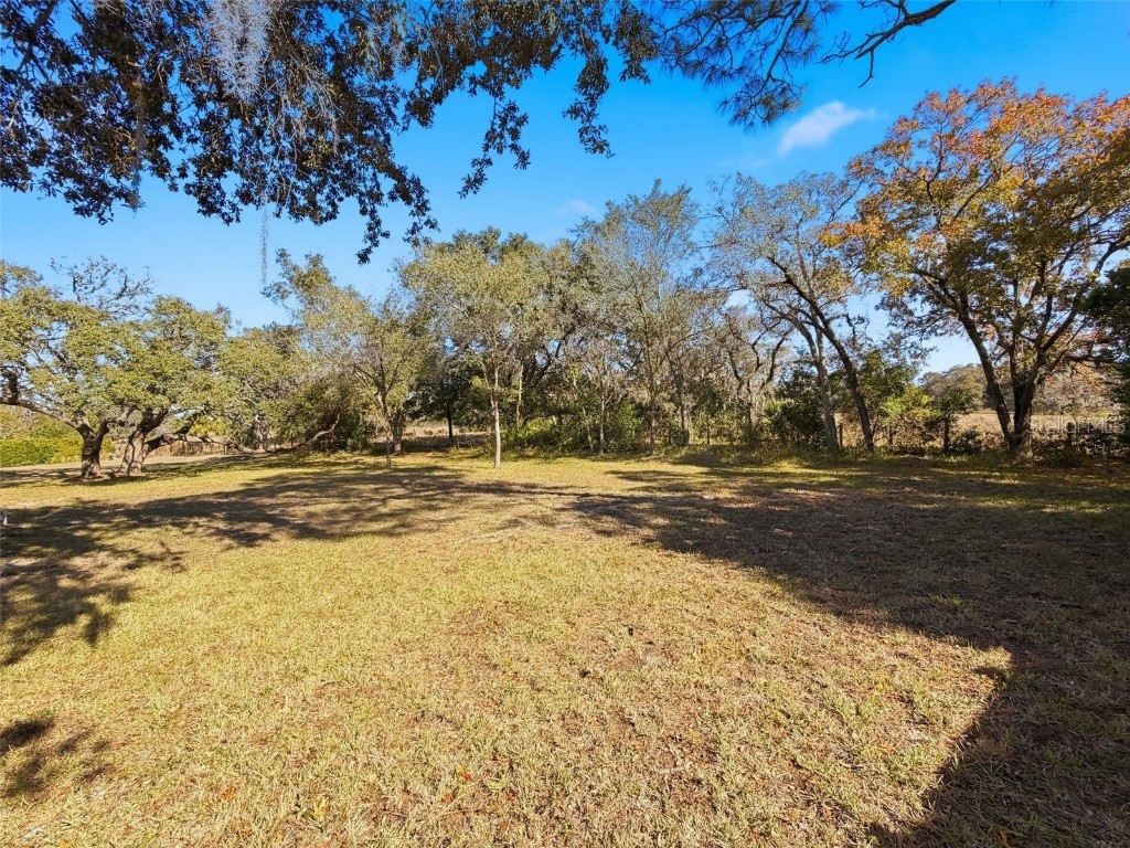 9434 Holnwon Court Hudson FL 34667 W7881502 image57