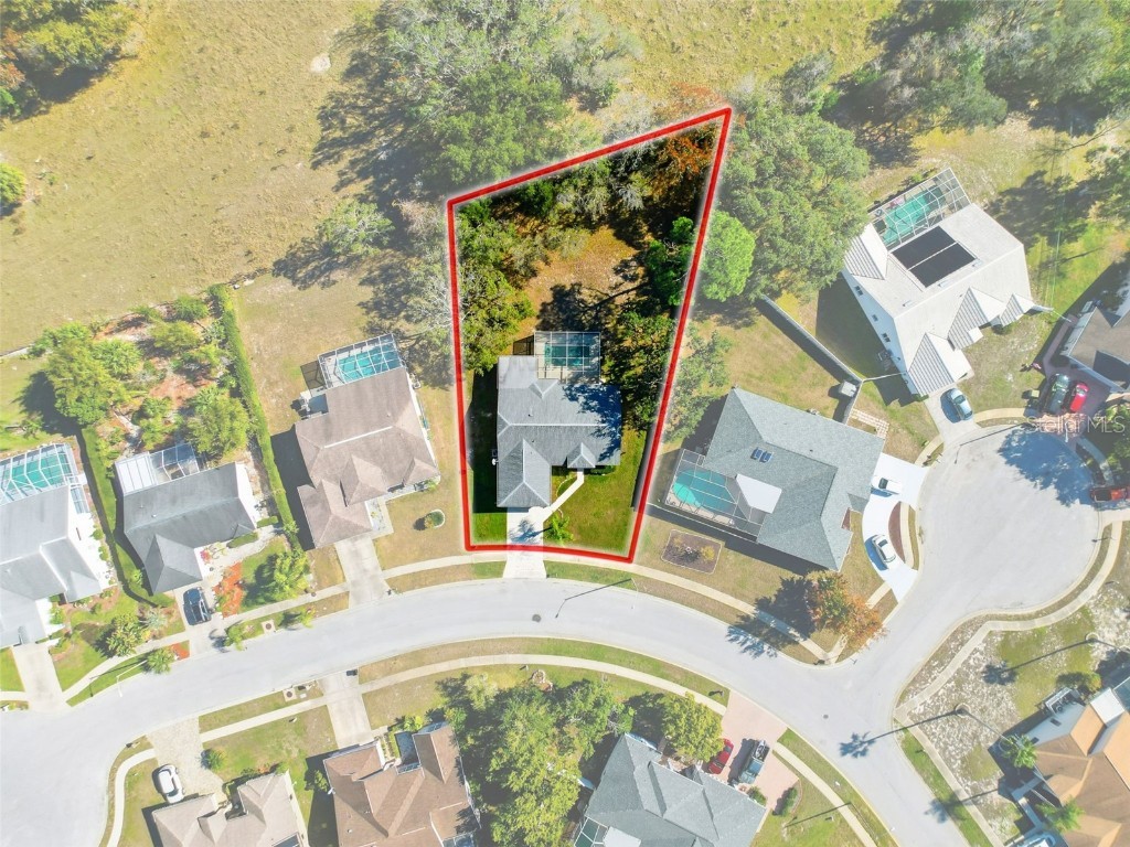 9434 Holnwon Court Hudson FL 34667 W7881502 image7