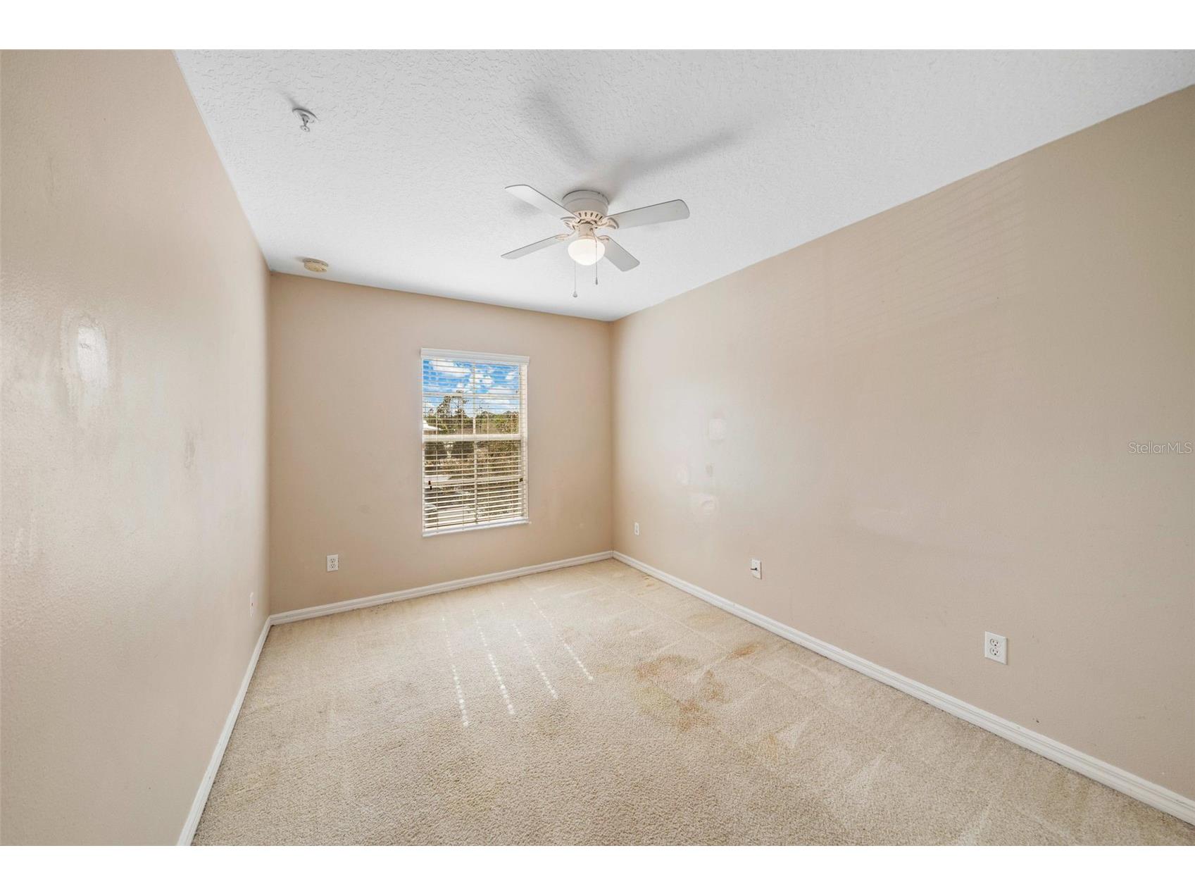 9434 Silver Buttonwood Street Orlando FL 32832 O6389736 image10