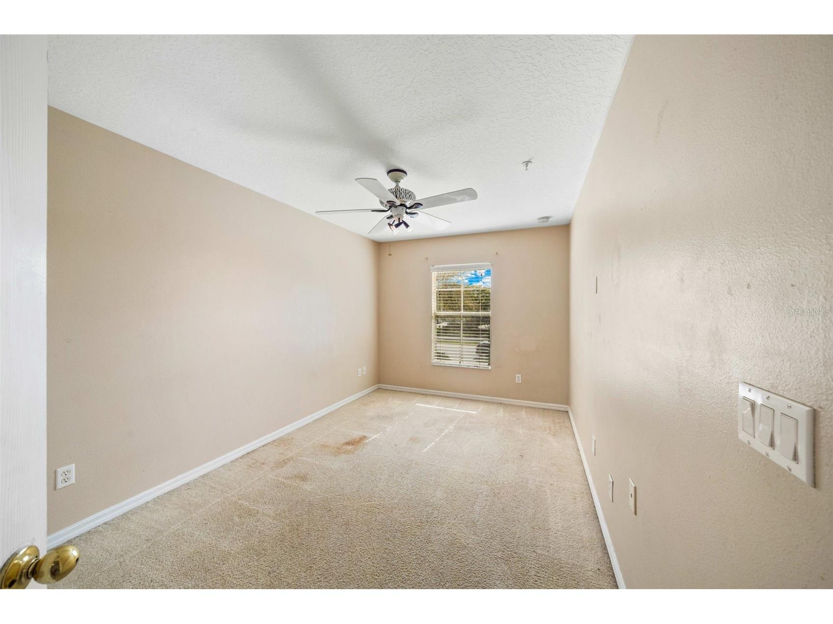 9434 Silver Buttonwood Street Orlando FL 32832 O6389736 image11