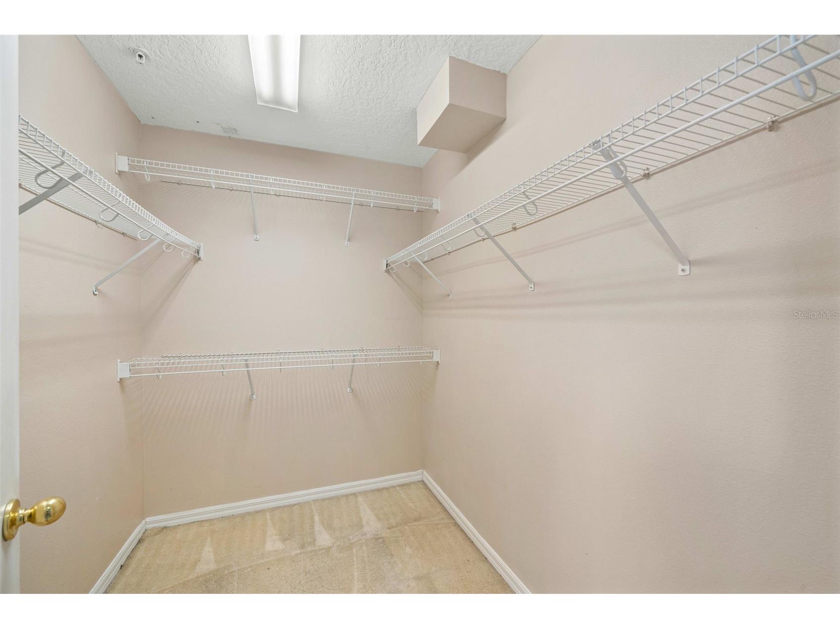 9434 Silver Buttonwood Street Orlando FL 32832 O6389736 image14