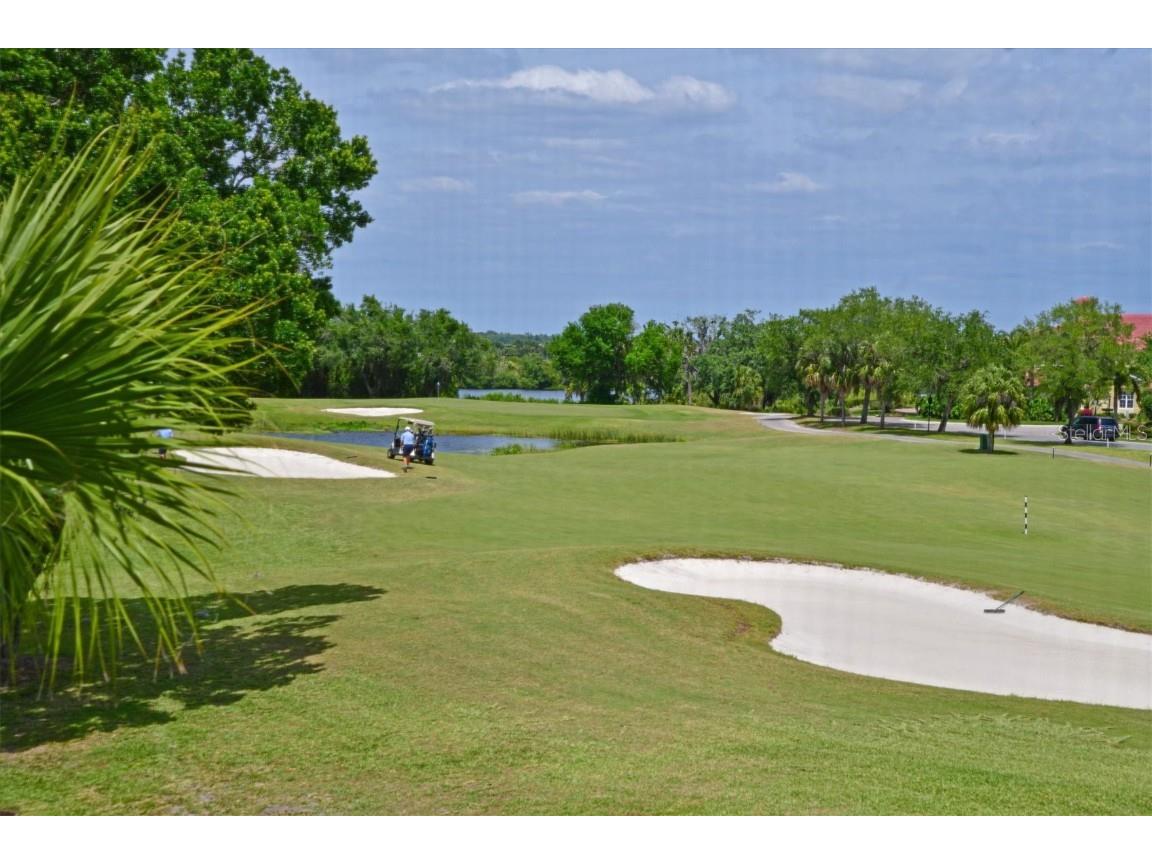 9435 Discovery Terrace #202D Bradenton FL 34212 - MANATEE RIVER IN SIGHT A4663277 image5