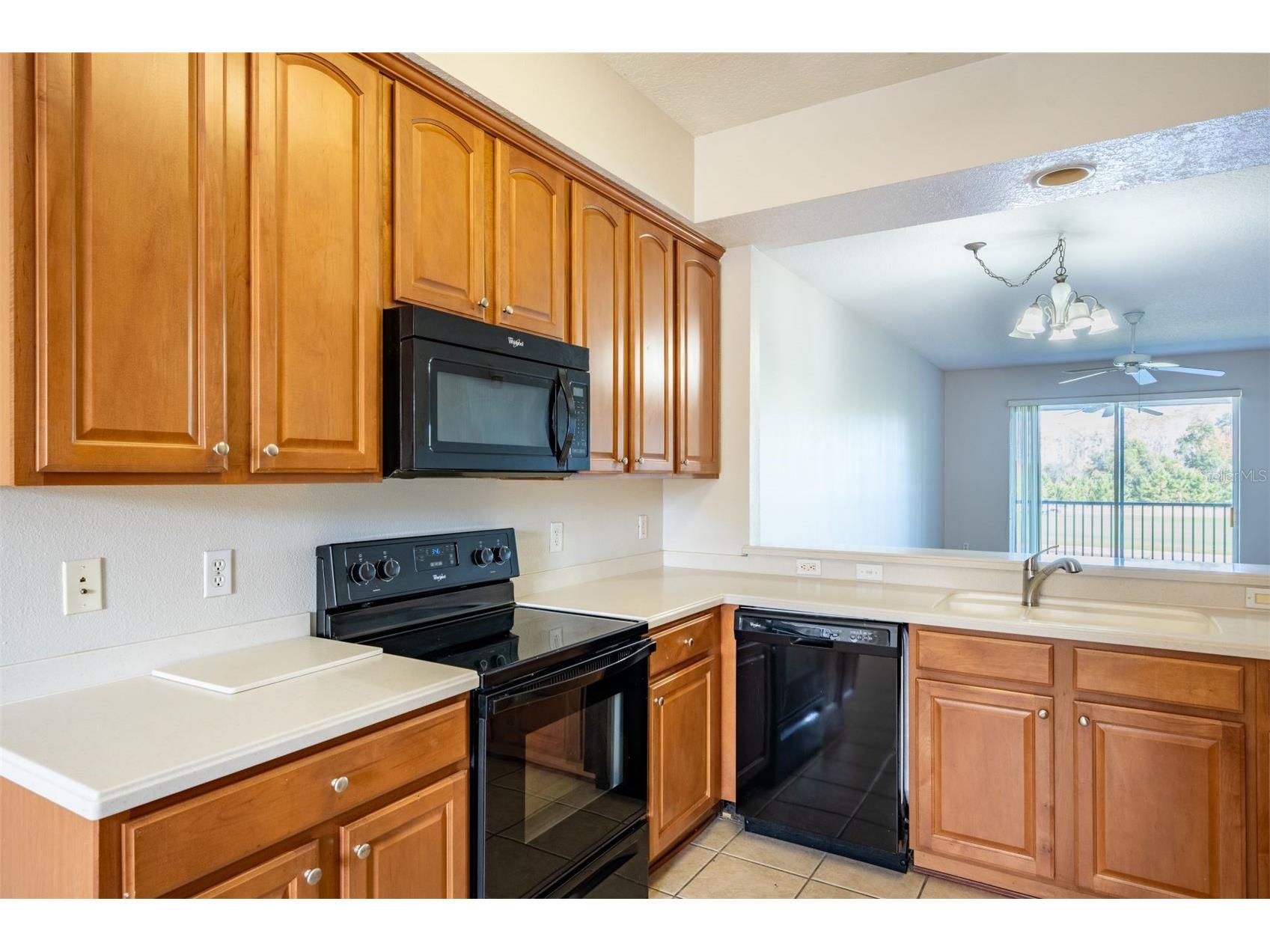 9435 Myrtle Creek Lane #311 Orlando FL 32832 O6396044 image5