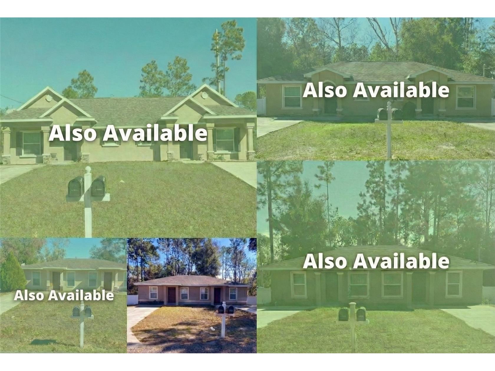 9435 N Manashee Drive Citrus Springs FL 34434 O6376764 image2