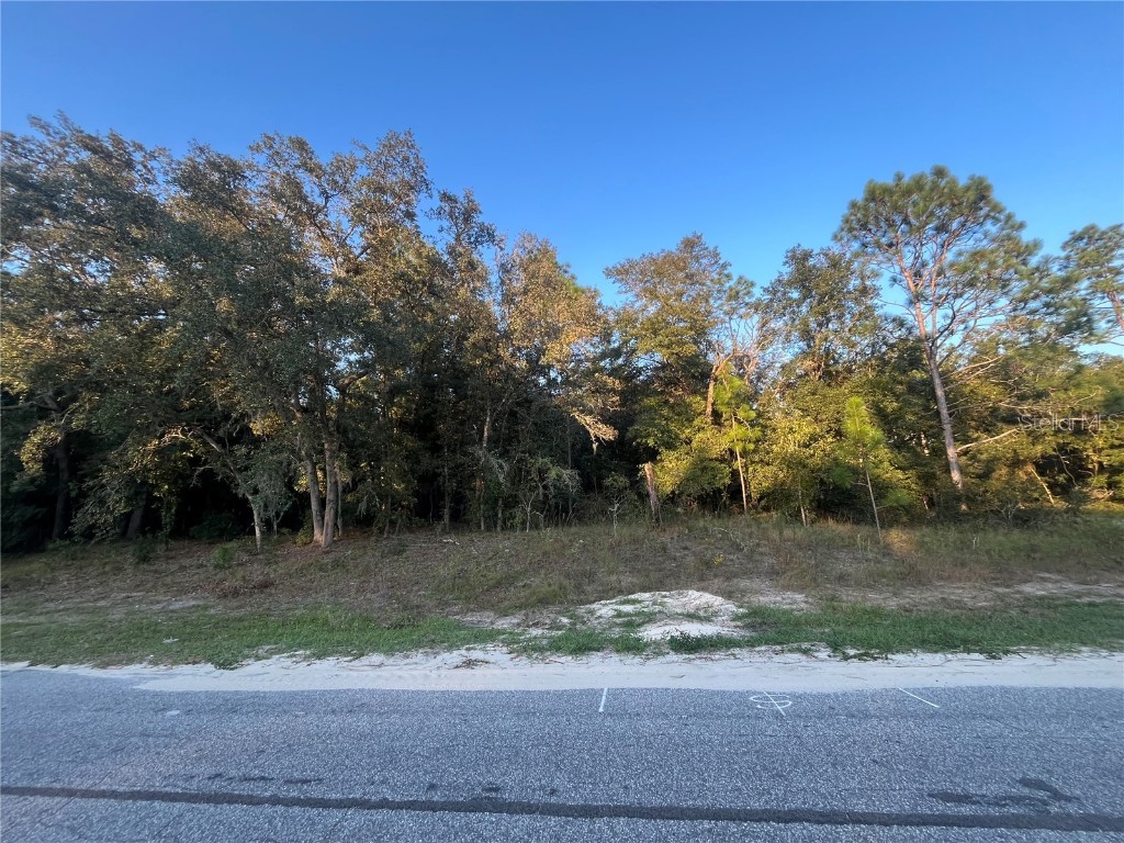 9435 N Sherman Drive Citrus Springs FL 34434 OK224550 image1