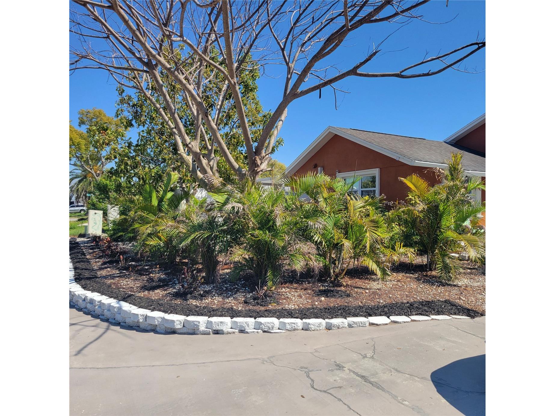 9436 Palm Avenue Port Richey FL 34668 TB8488144 image69