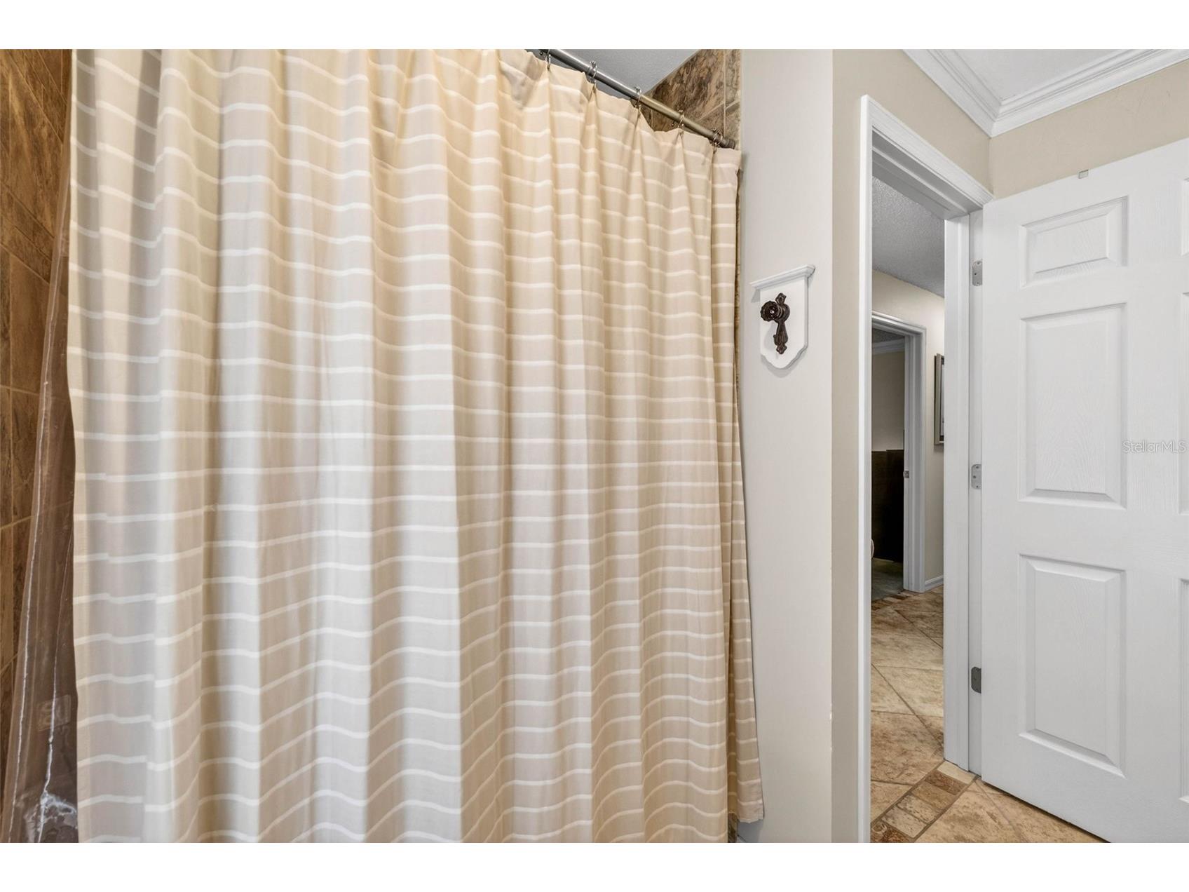 9436 Rockrose Drive Tampa FL 33647 TB8510928 image39