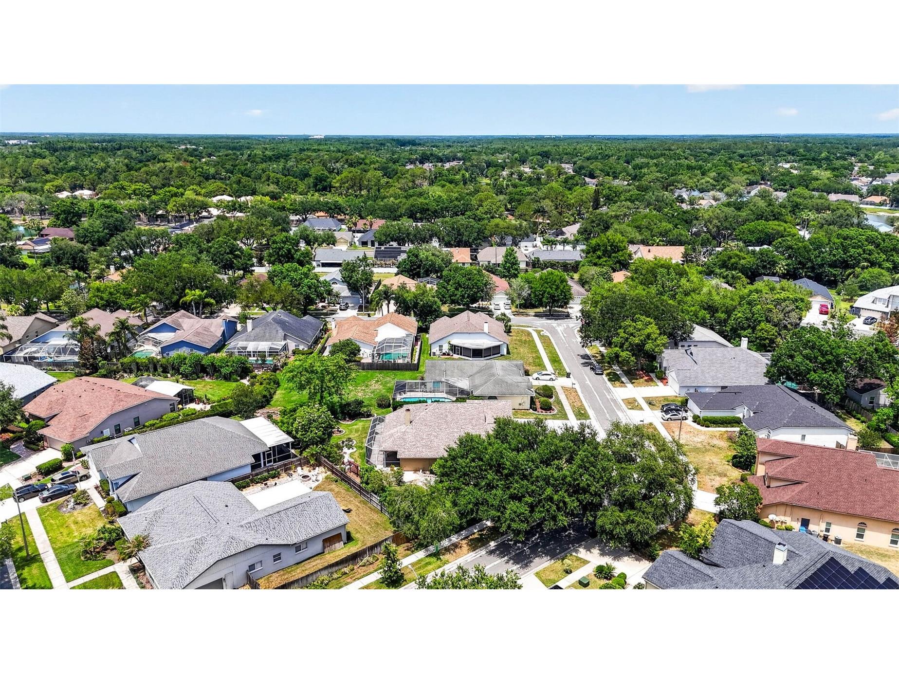 9436 Rockrose Drive Tampa FL 33647 TB8510928 image78
