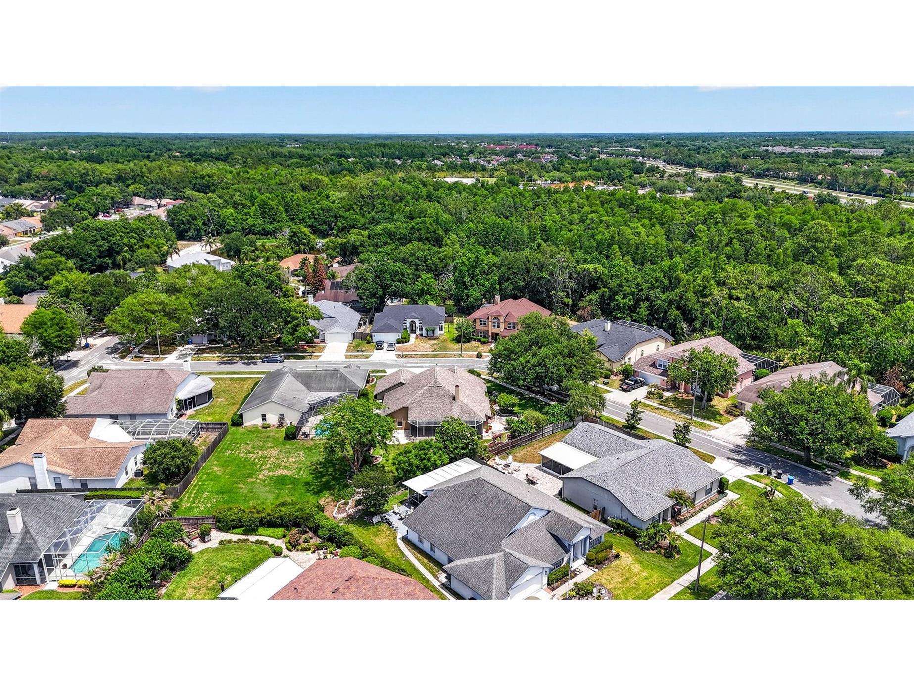 9436 Rockrose Drive Tampa FL 33647 TB8510928 image82