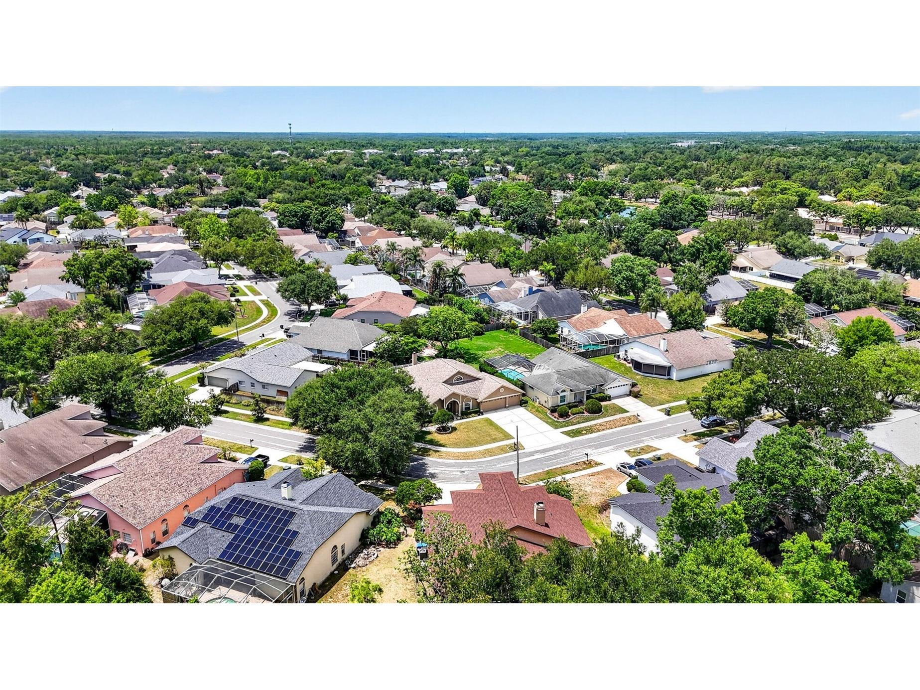 9436 Rockrose Drive Tampa FL 33647 TB8510928 image84