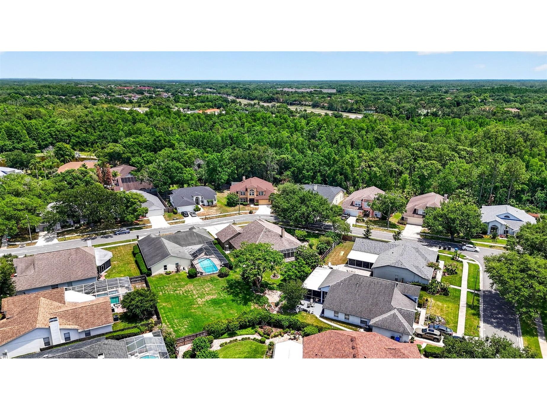 9436 Rockrose Drive Tampa FL 33647 TB8510928 image86