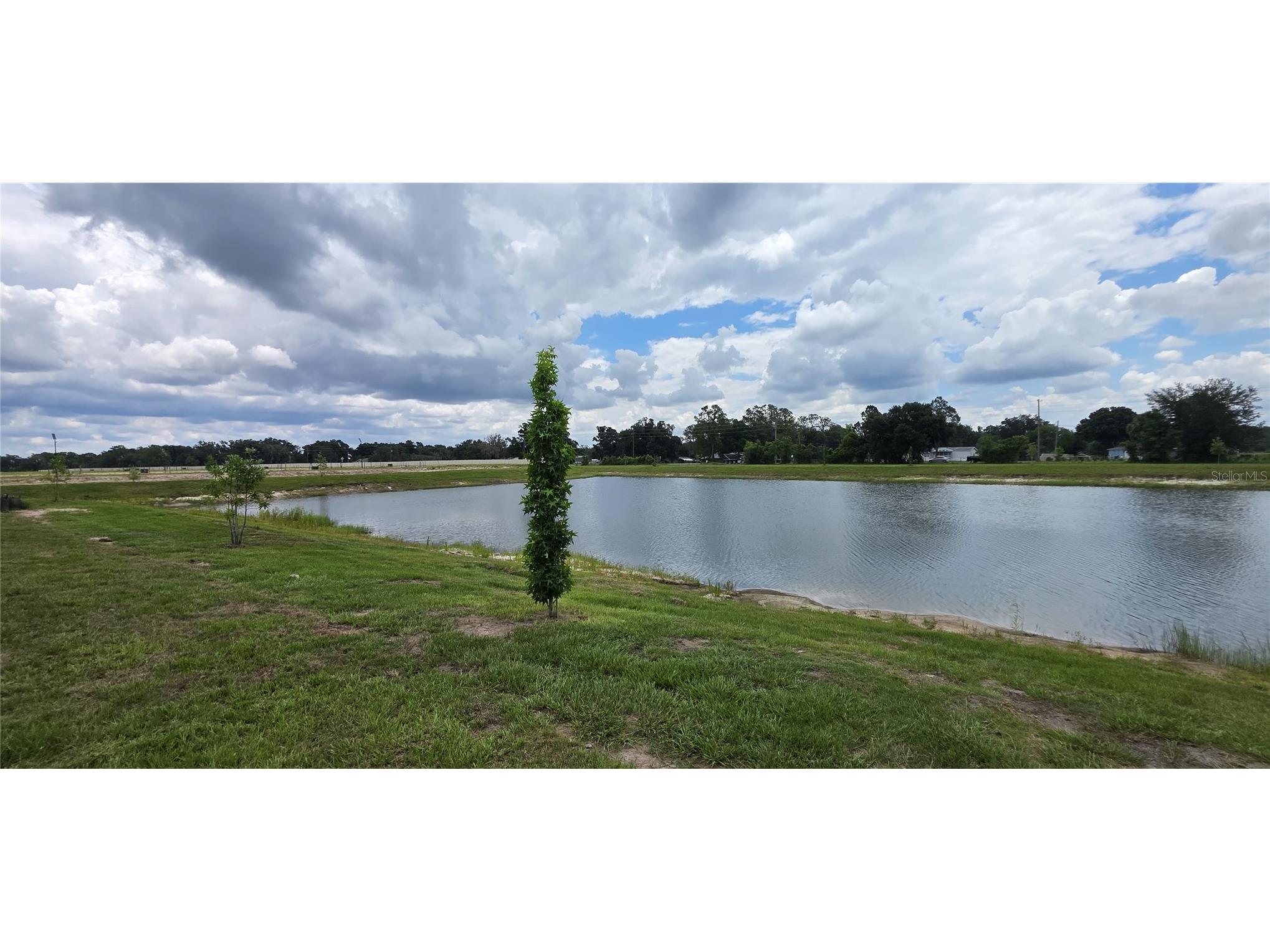 9436 Scouter Bee Place Land O Lakes FL 34637 TB8517866 image23
