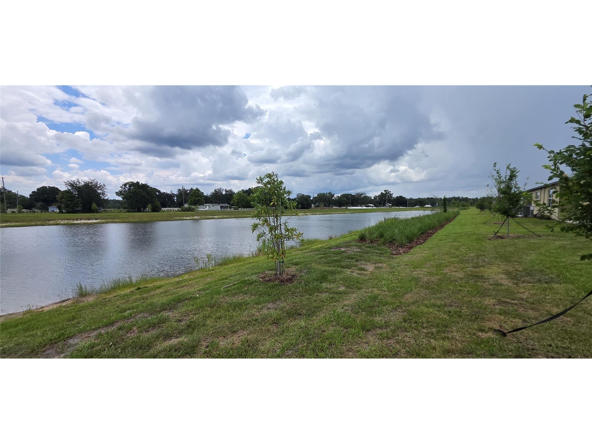 9436 Scouter Bee Place Land O Lakes FL 34637 TB8517866 image24