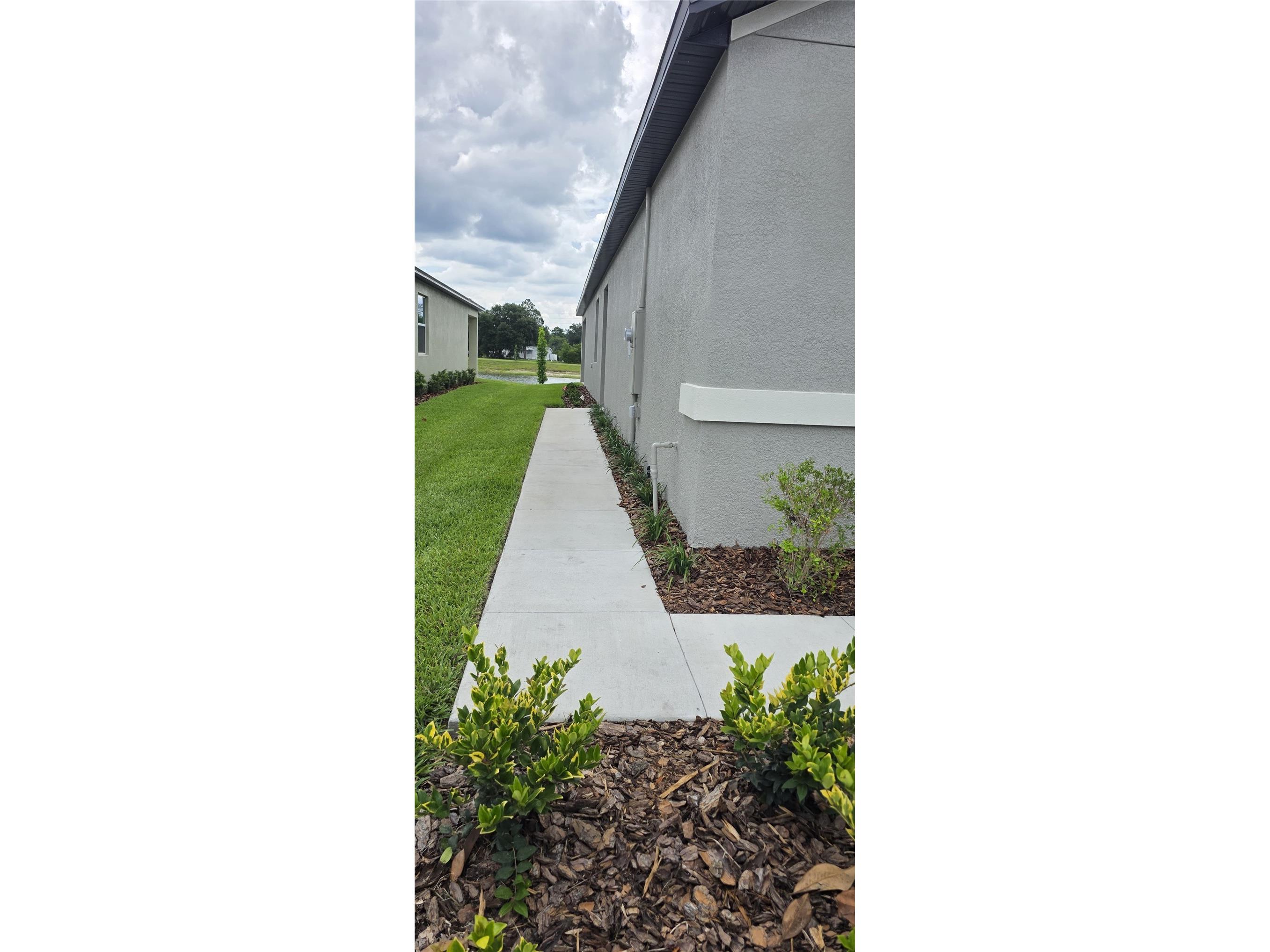 9436 Scouter Bee Place Land O Lakes FL 34637 TB8517866 image3