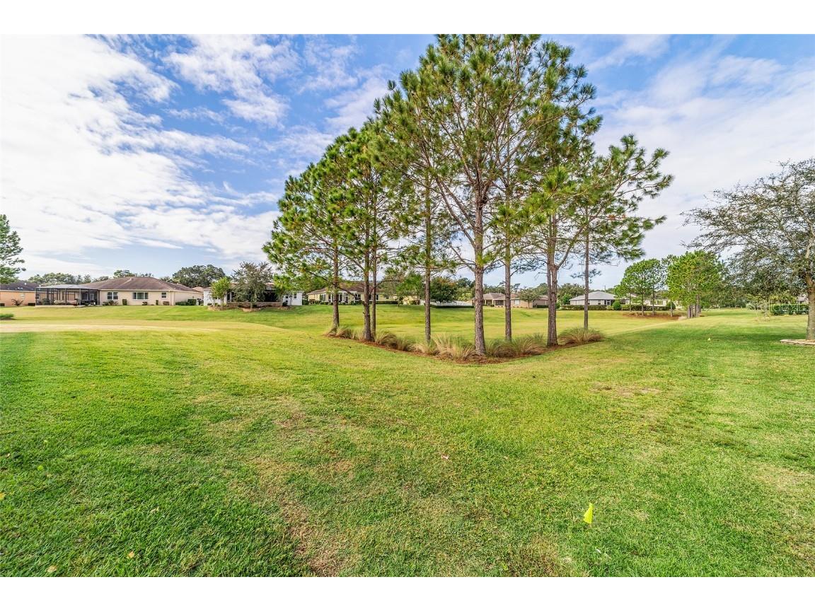 9436 SW 97th Avenue Ocala FL 34481 OM708823 image58