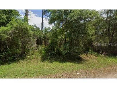 9437 N Agar Terrace Dunnellon FL 34434 G5101002 image1