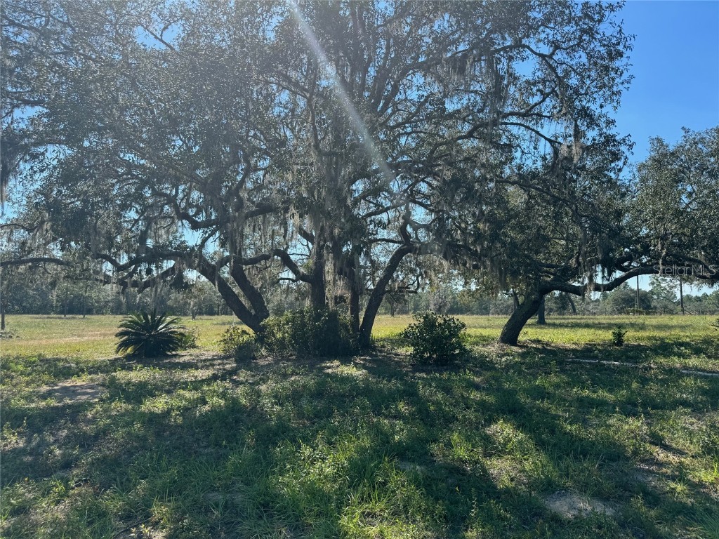 9437 N Singapore Avenue Dunnellon FL 34433 OM688309 image56