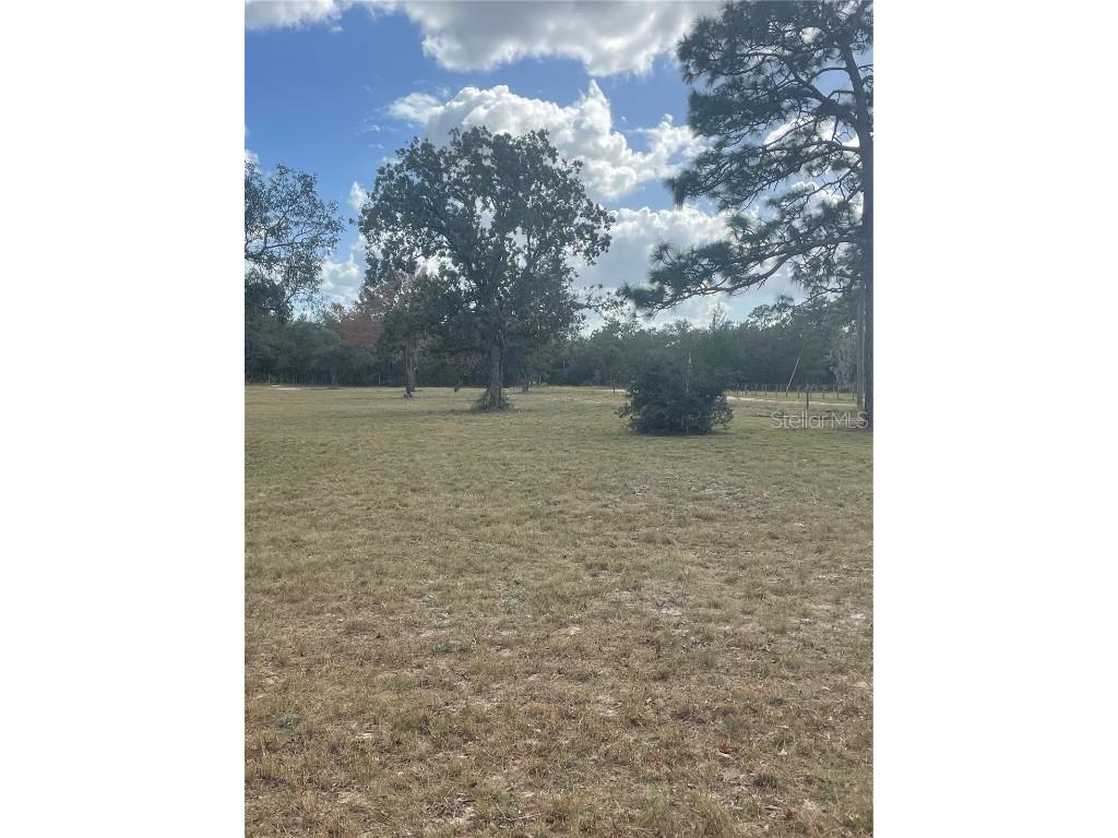 9437 N Singapore Avenue Dunnellon FL 34433 OM688309 image65