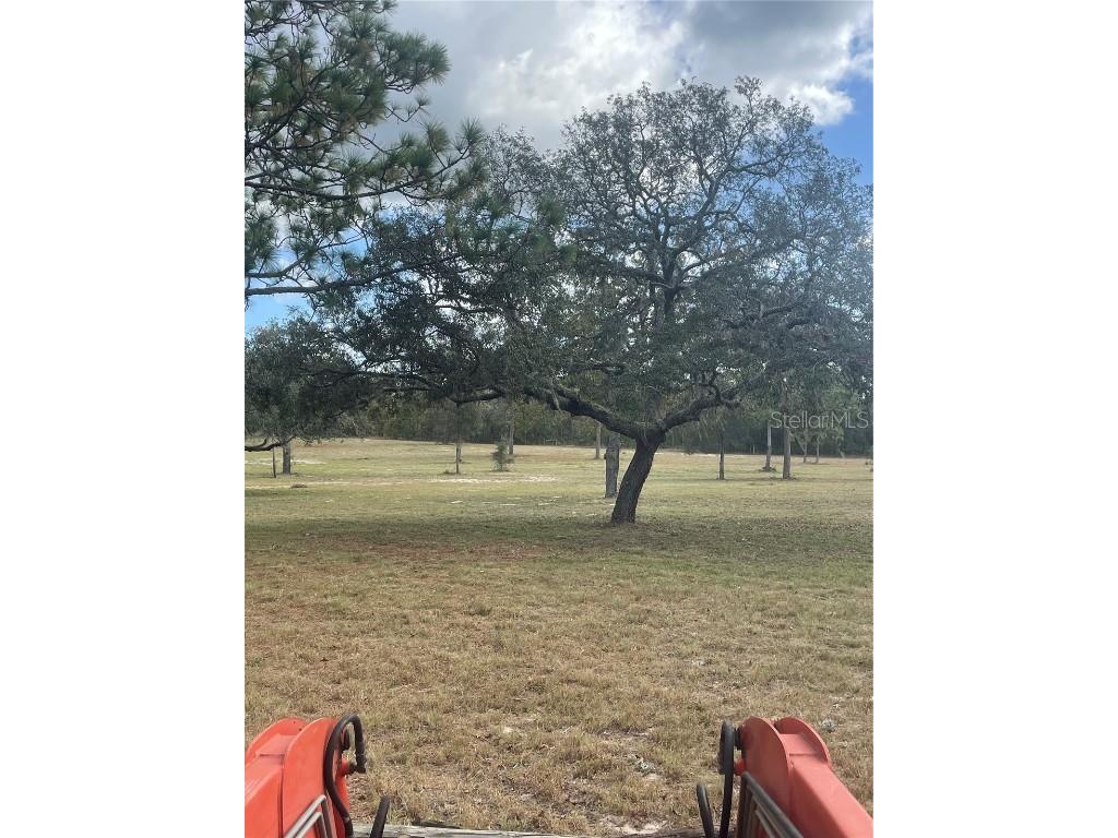 9437 N Singapore Avenue Dunnellon FL 34433 OM688309 image66