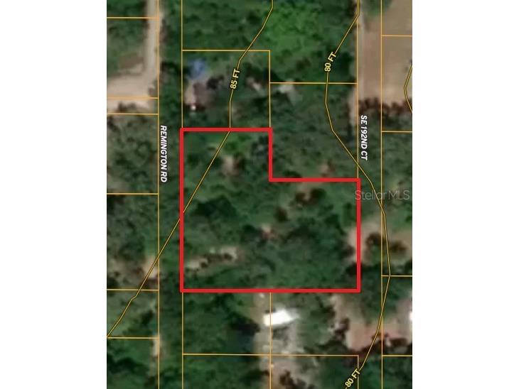 9437 SE 192nd Avenue Ocklawaha FL 32179 A4672208 image3