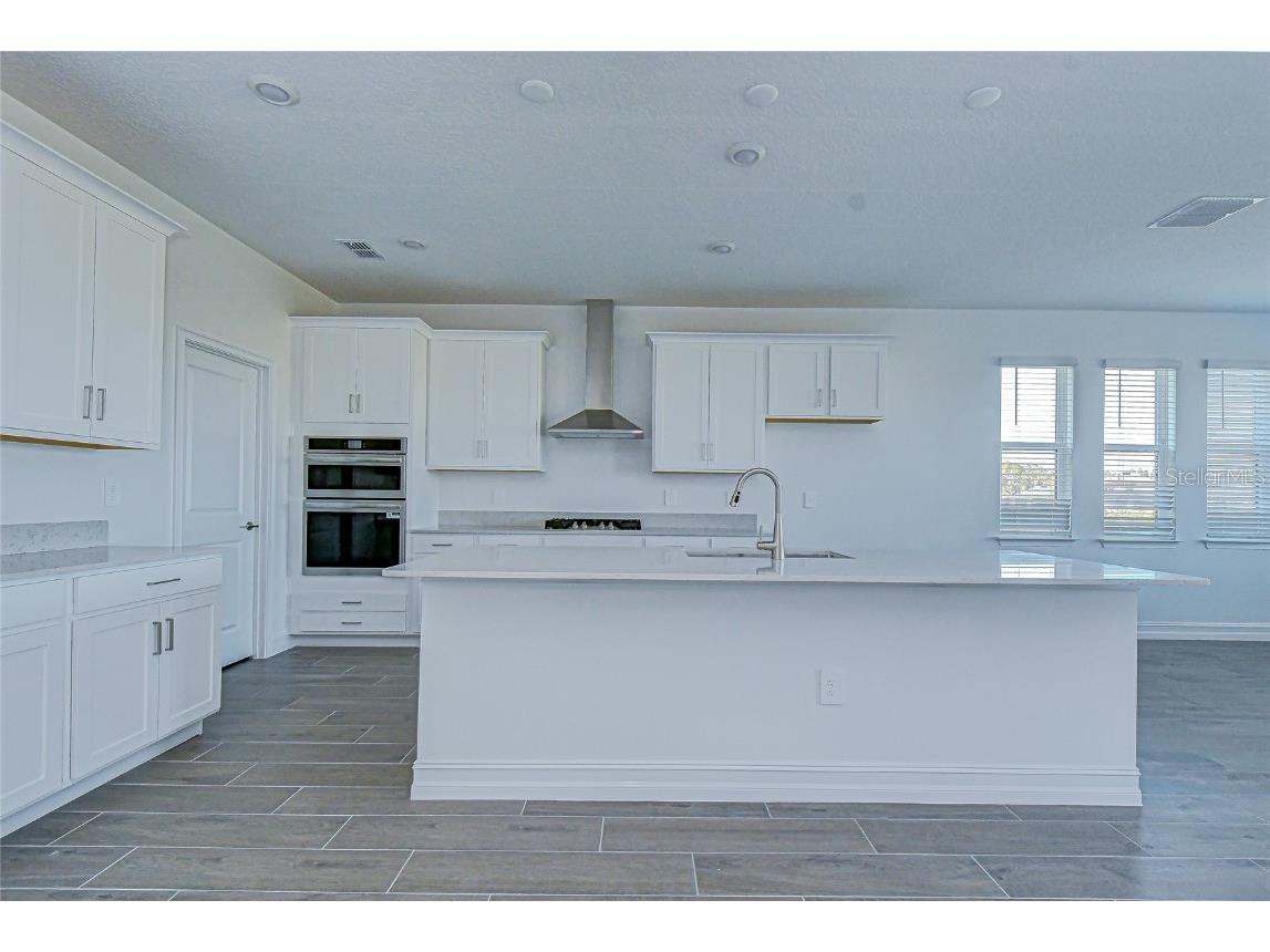 9438 Gladsome Drive Land O Lakes FL 34637 TB8448194 image2