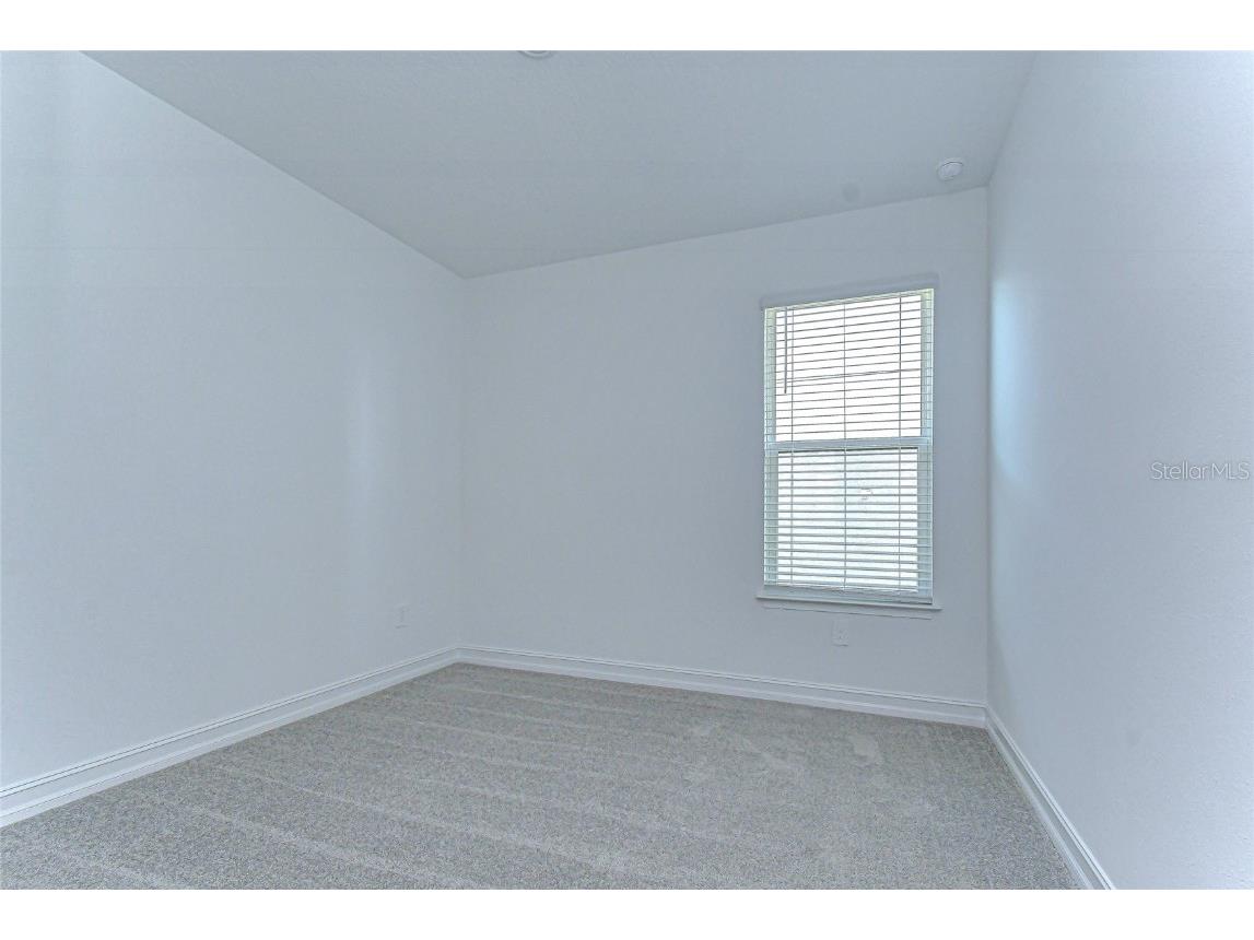 9438 Gladsome Drive Land O Lakes FL 34637 TB8448194 image20