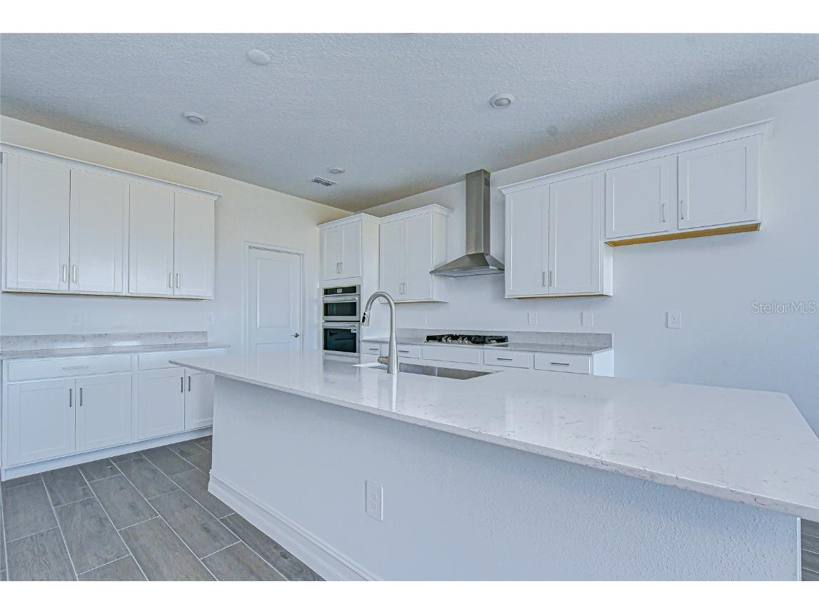 9438 Gladsome Drive Land O Lakes FL 34637 TB8448194 image27