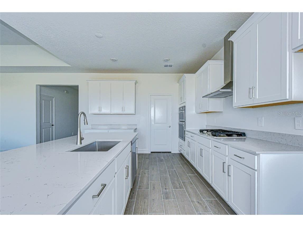 9438 Gladsome Drive Land O Lakes FL 34637 TB8448194 image28