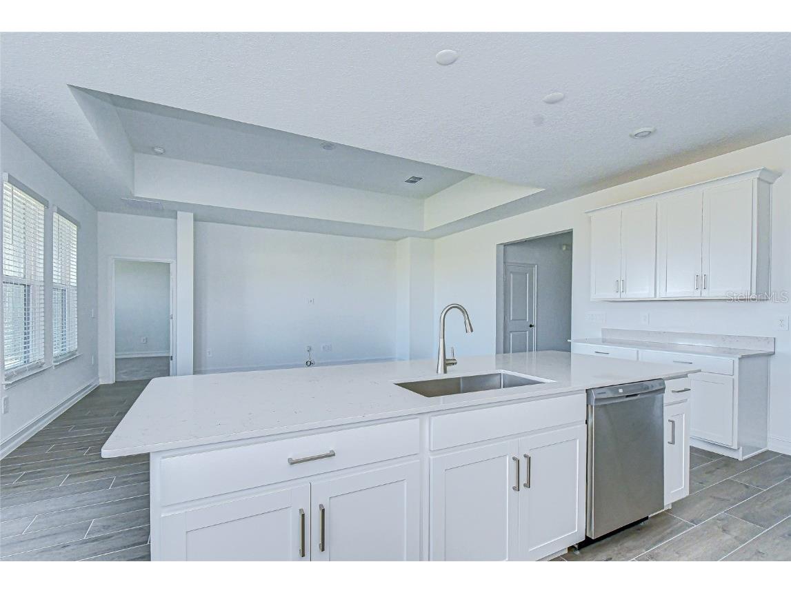 9438 Gladsome Drive Land O Lakes FL 34637 TB8448194 image29