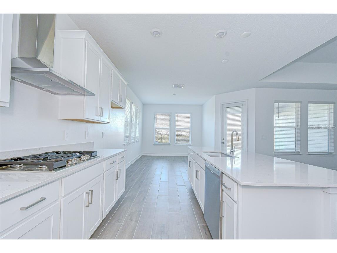 9438 Gladsome Drive Land O Lakes FL 34637 TB8448194 image31