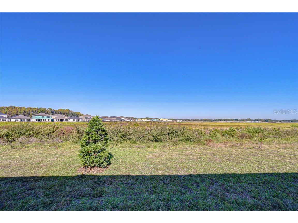 9438 Gladsome Drive Land O Lakes FL 34637 TB8448194 image45