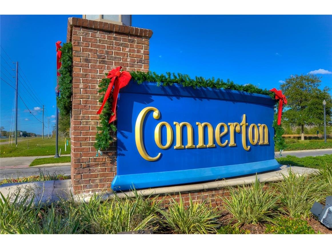 9438 Gladsome Drive Land O Lakes FL 34637 TB8448194 image46