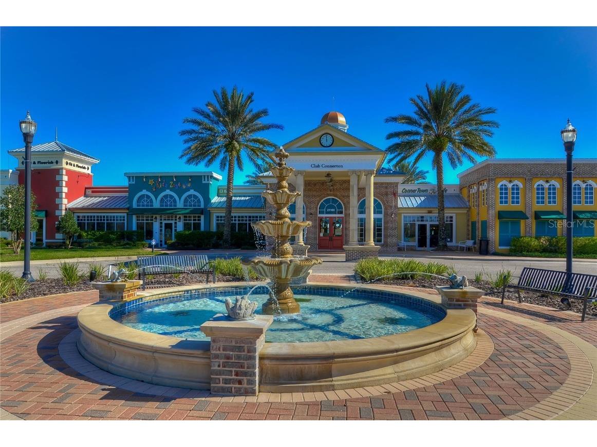 9438 Gladsome Drive Land O Lakes FL 34637 TB8448194 image47