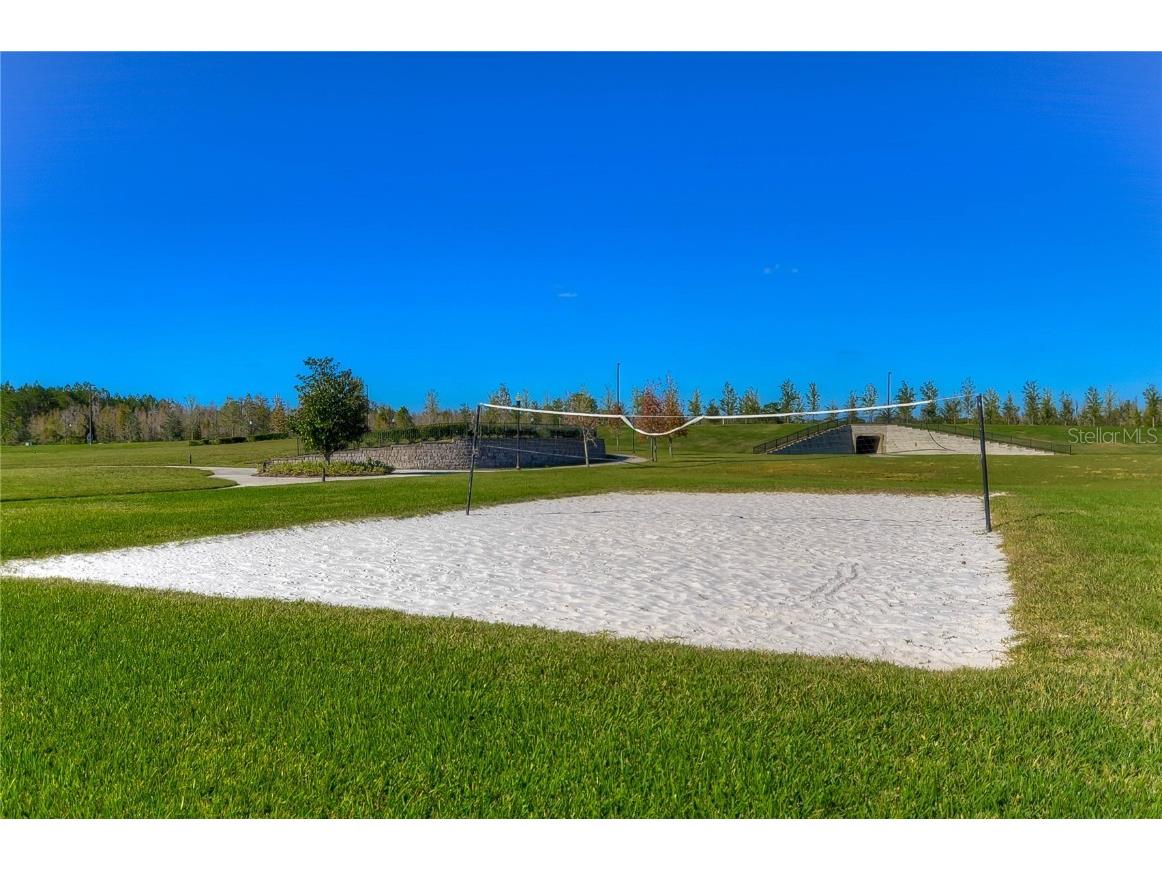 9438 Gladsome Drive Land O Lakes FL 34637 TB8448194 image59