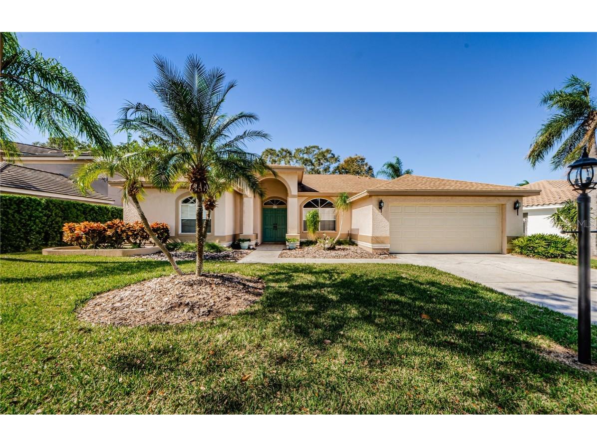 944 Belted Kingfisher Drive S Palm Harbor FL 34683 U8219233 image1
