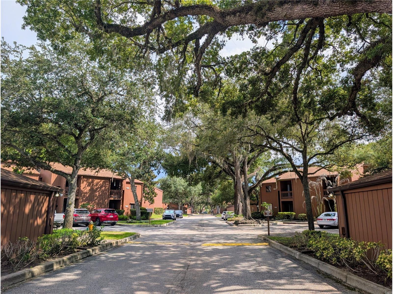 944 E Michigan Street #A Orlando FL 32806 O6420287 image3