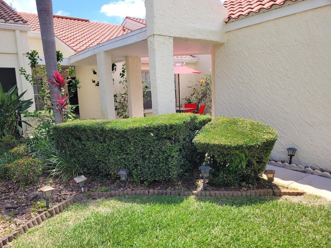 944 Madrid Drive Palm Harbor FL 34684 TB8500674 image1