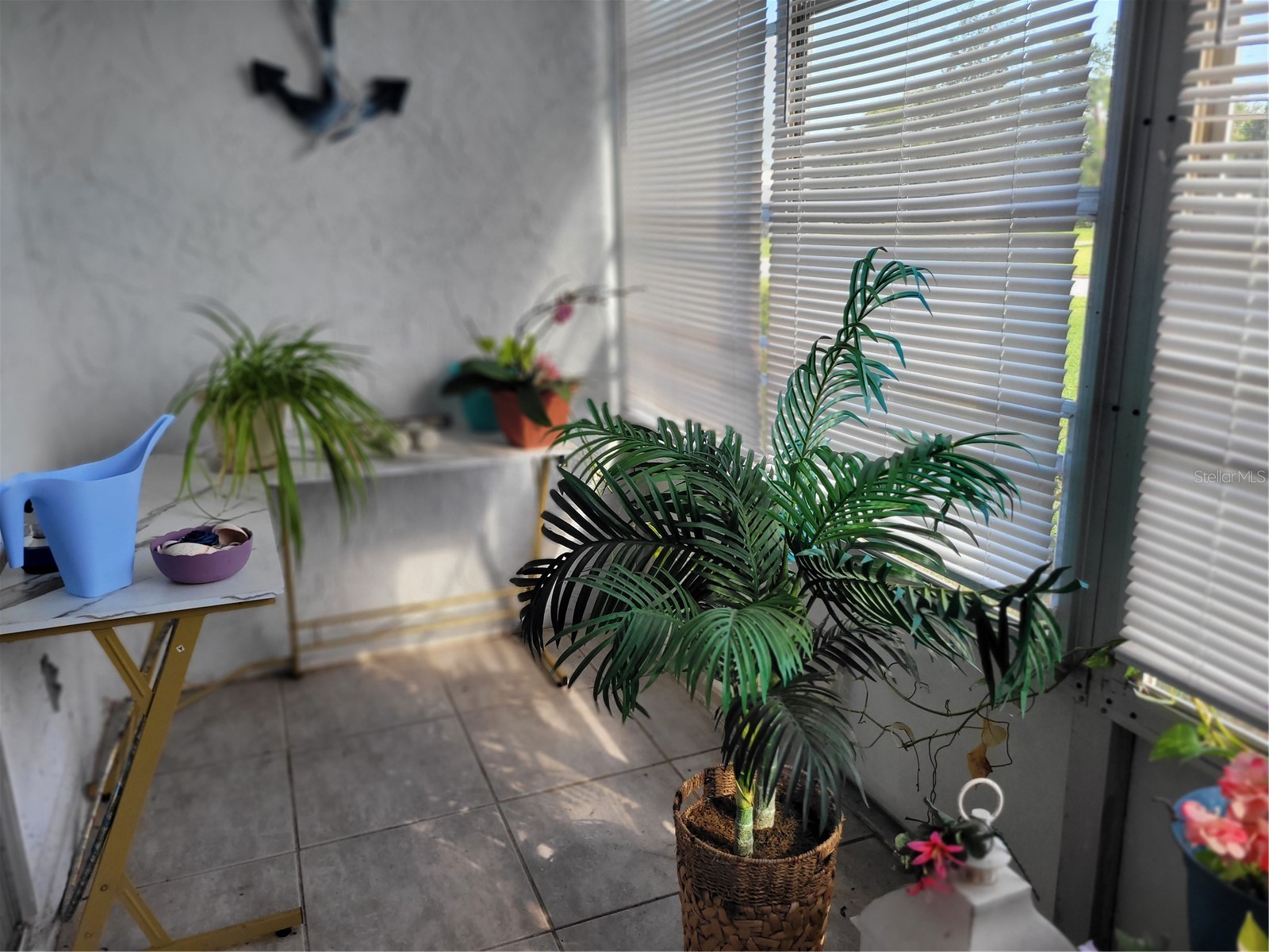 944 Madrid Drive Palm Harbor FL 34684 TB8500674 image10