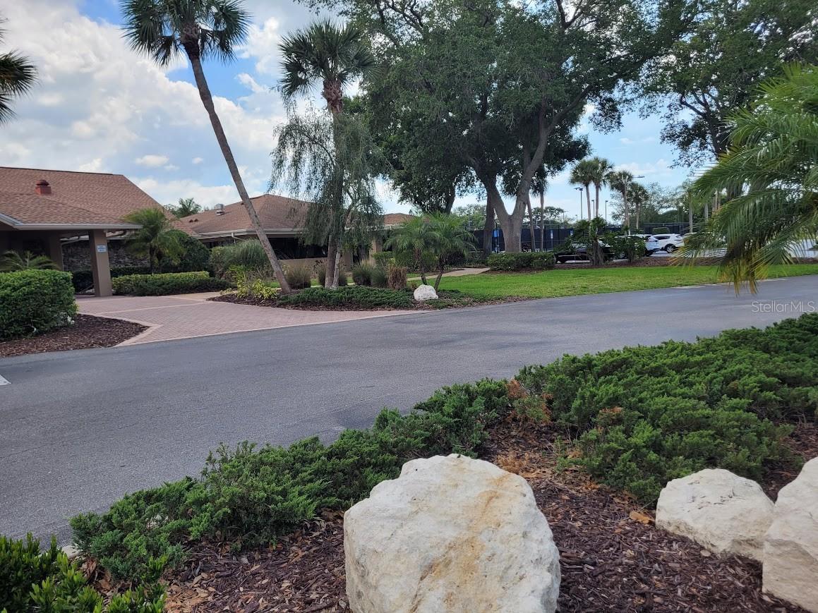 944 Madrid Drive Palm Harbor FL 34684 TB8500674 image14